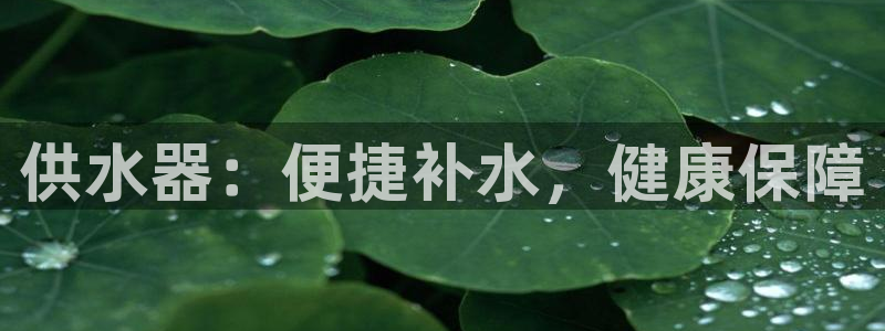 球友会官方网站下载