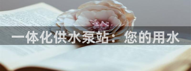 球友会友谊赛7月28日曼联阿森纳