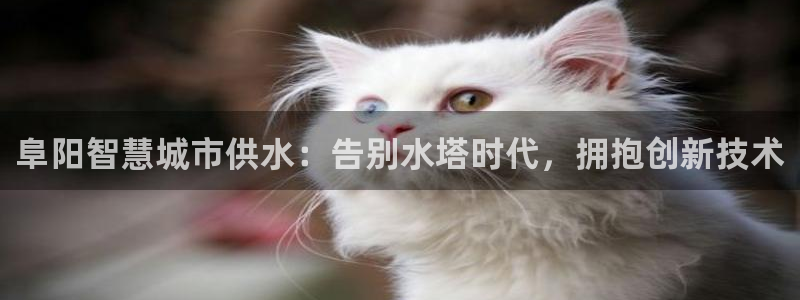 球友会app干啥的呀