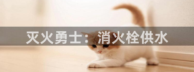 球友会台球俱乐部在哪