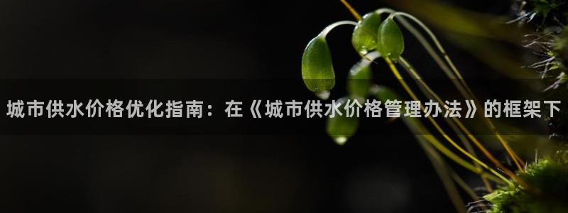 球友会qy怎么进不去