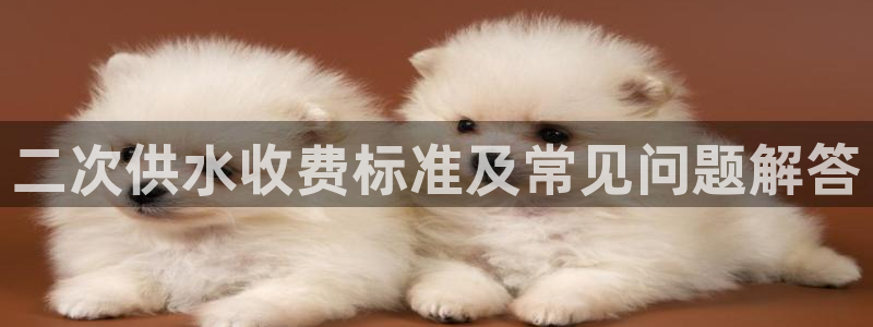 球友会友谊赛赛程