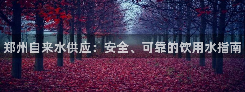 球友会网站多少
