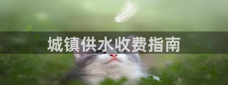 球友会app官方网站下载