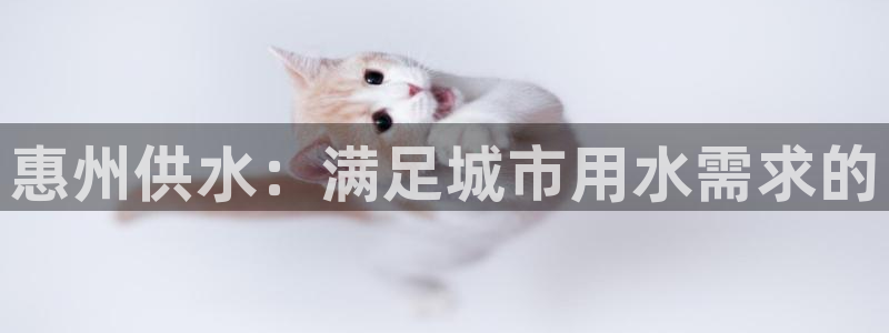 球友会app介绍
