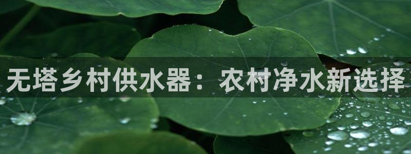 球友会下载
