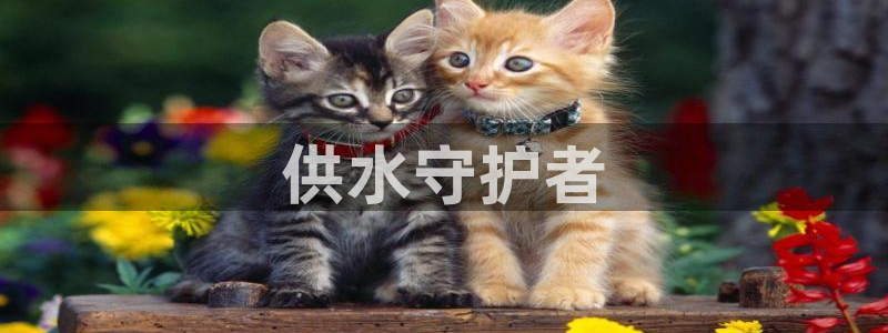 球友会骂客服封号