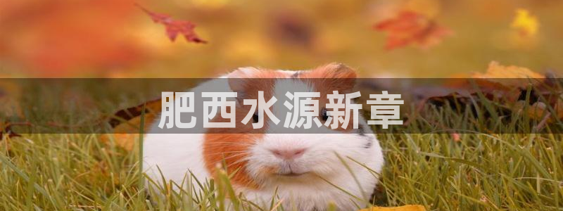 球友会体育app官方版下载安装最新