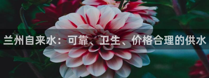 球友会官网