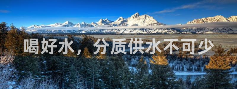 球友会官网入口在哪里
