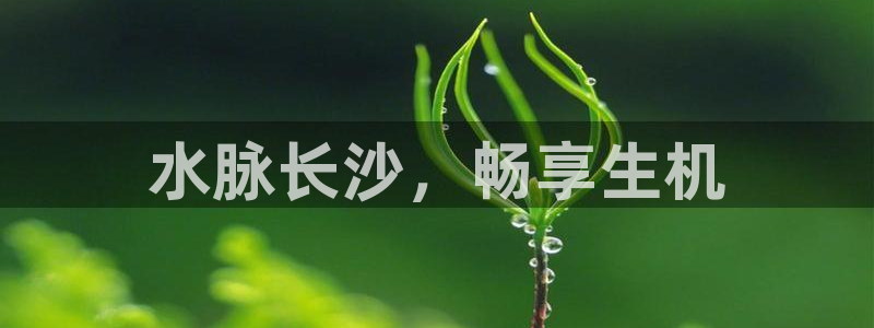 球友会提款审核中