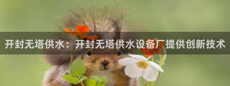 球友会体育app官方版下载安装苹果手机