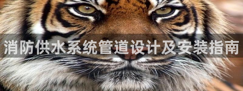 球友会官方网站入口