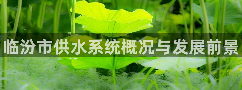 球友会登录球友会官网
