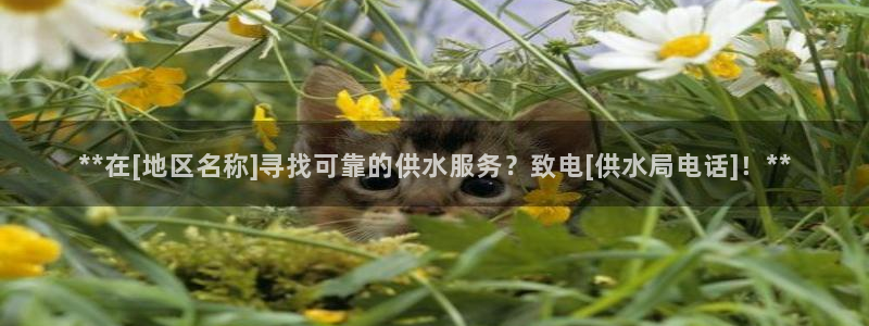 球友会App