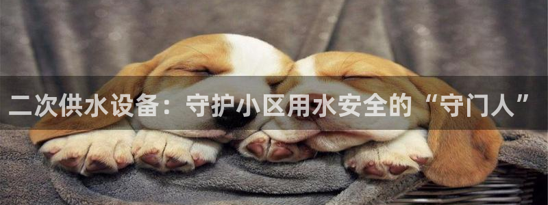 球友会体育app官方版下载安装苹果