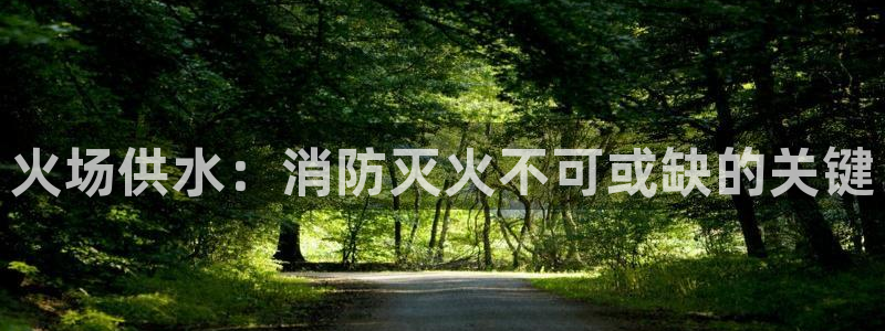 球友会友谊赛赛程