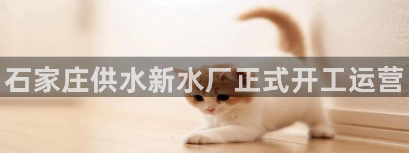 QY球友会官网