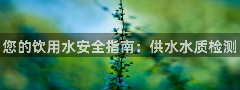 球友会体育app下载官网