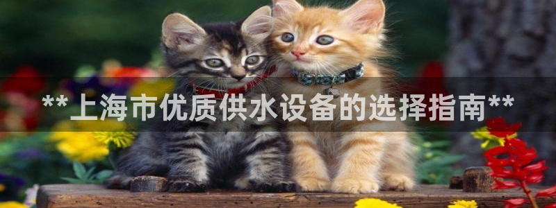 球友会体育app下载官网安卓