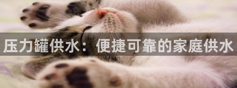 球友会的会字是哪个会