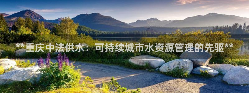 球友会app介绍