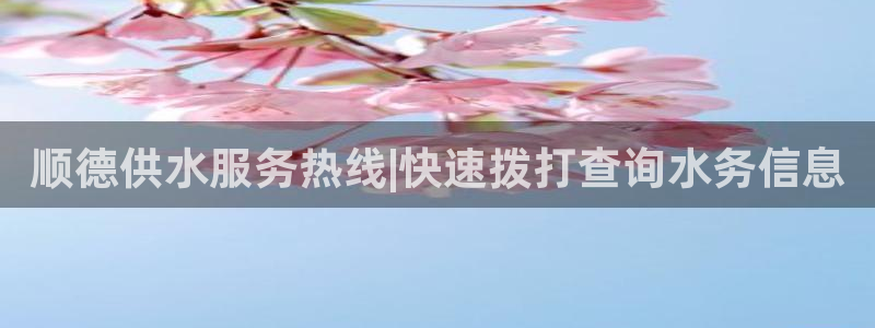 球友会提现不到账