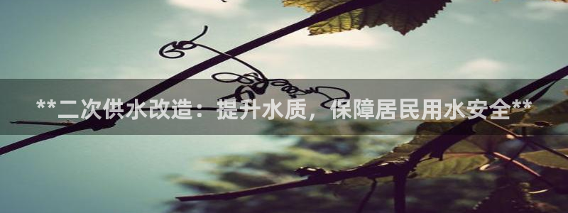 球友会破解码