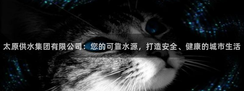 球友会台球俱乐部官网