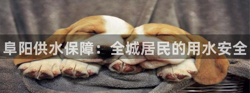 球友会是不是大平台