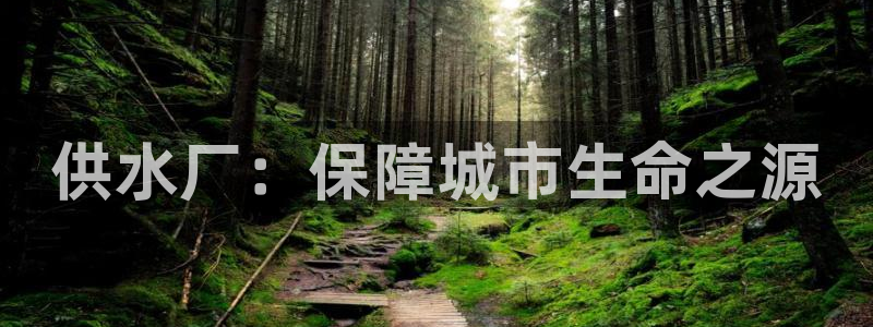 qy球友会体育