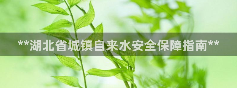 球友会app官方网站