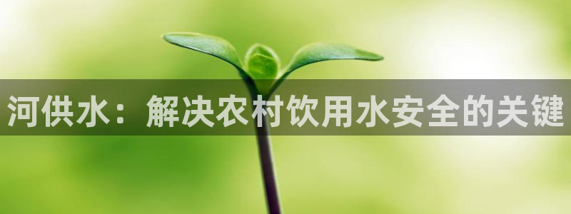 球友会apy