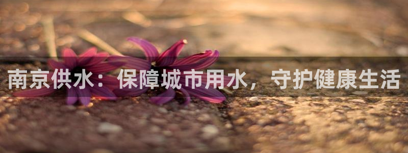 球友会体育app下载