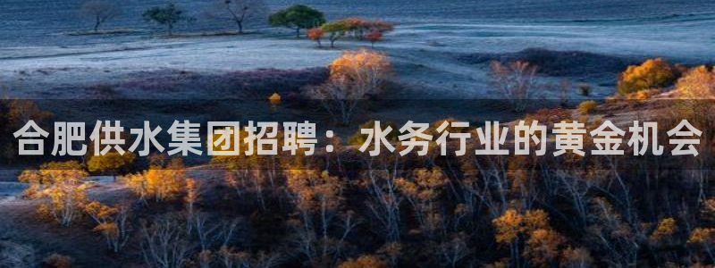 球友会体育app下载安卓手机