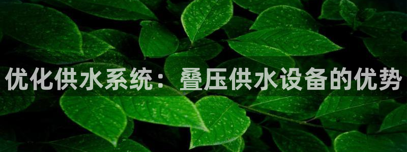 QY球友会体育官方平台