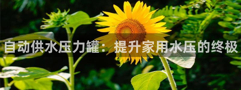 球友会app安全吗可靠吗