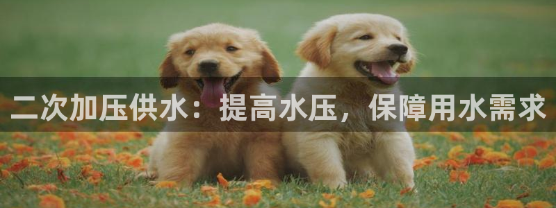 球友会QY