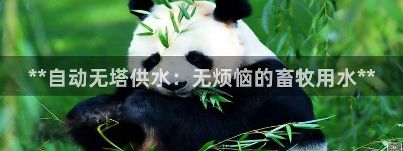 球友会体育app官方版下载安装手机