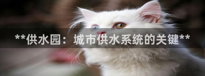 球友会FIFA22比赛是否能随机超控
