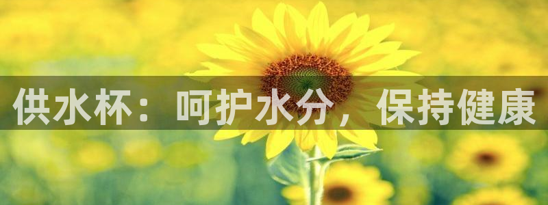 球友会app干啥的软件