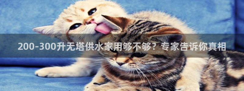球友会友谊赛赛程赛果