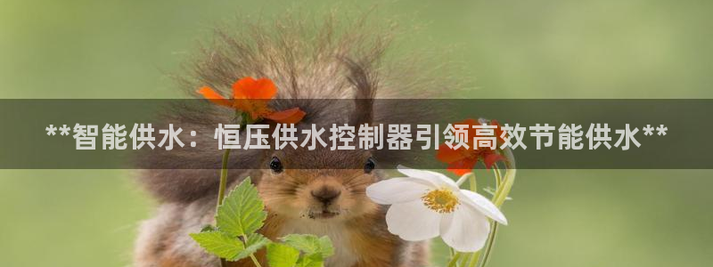 球友会体育app下载官网苹果