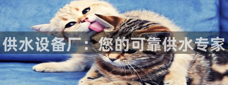 球友会app官方网站下载