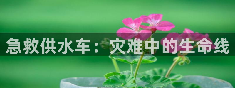 球友会app干啥的啊