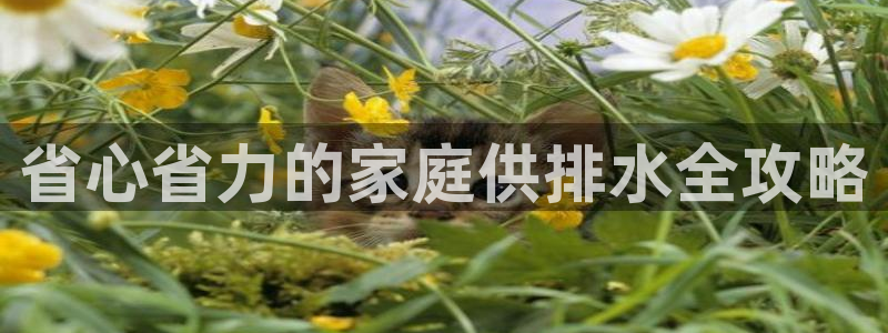 球友会官网登录入口网址