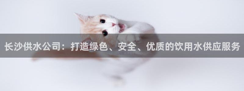 球友会app官方网站下载