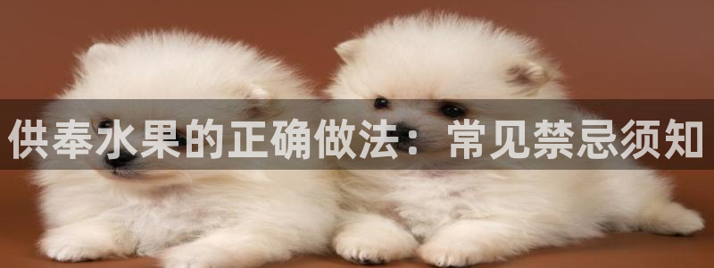 球友会qy