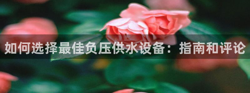 球友会娱乐
