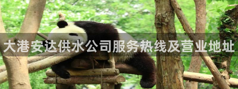 球友会app干啥的